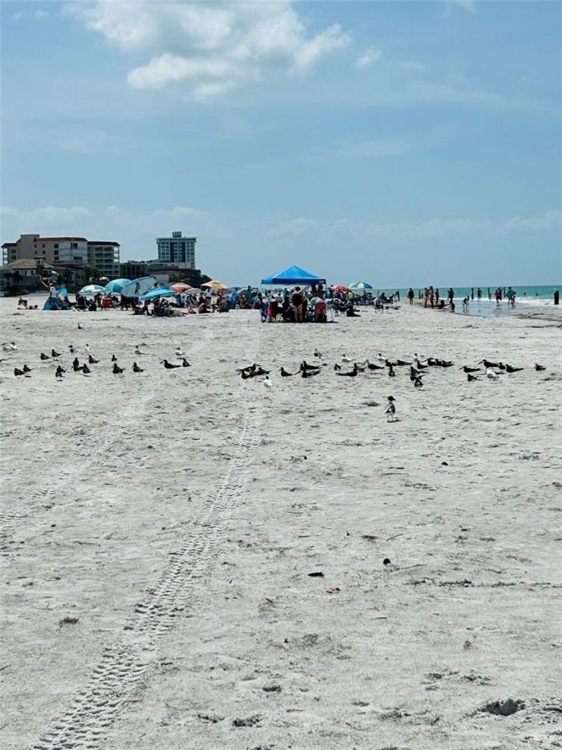 18218 Sunset Boulevard, Unit A, Saint Petersburg, FL 33708 Photo