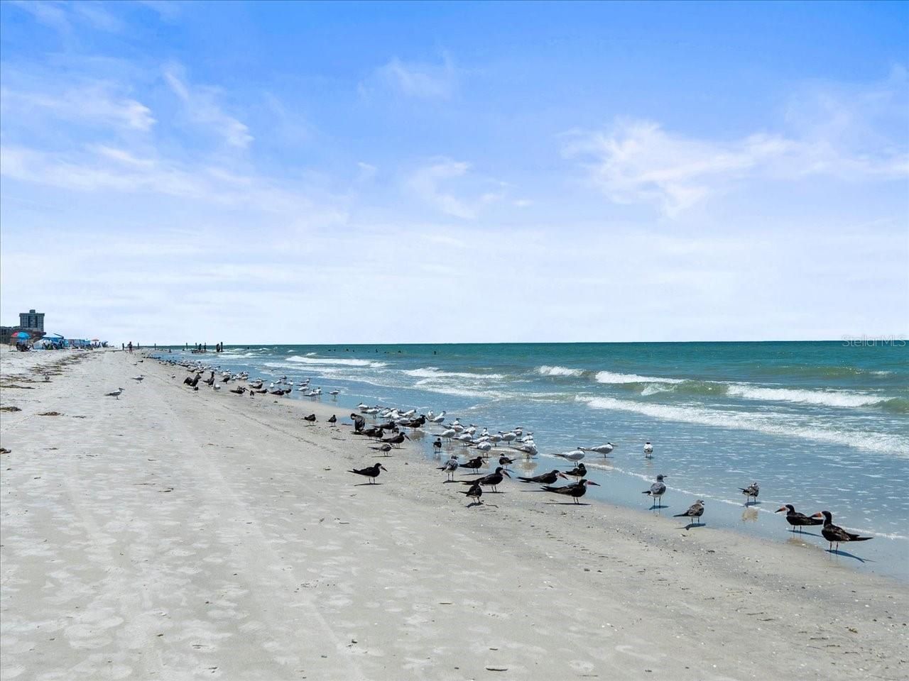 18218 Sunset Boulevard, Unit A, Saint Petersburg, FL 33708 Photo