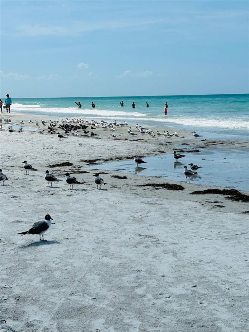 18218 Sunset Boulevard, Unit A, Saint Petersburg, FL 33708 Photo