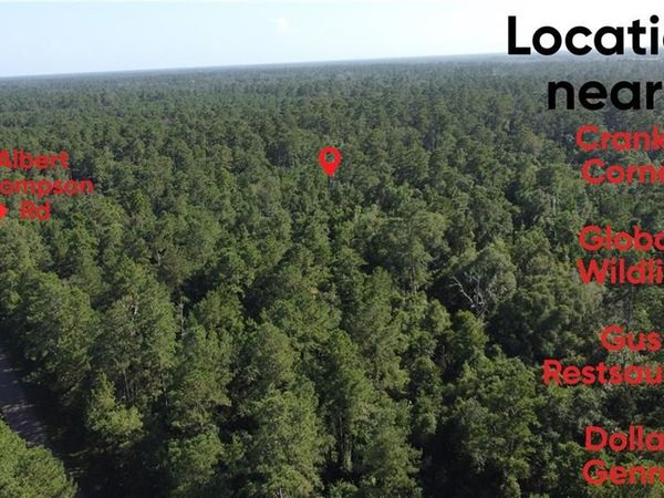 0 ALBERT THOMPSON Road, Folsom, LA 70437