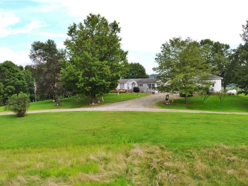 61691 Wintergreen Road, Lore City, OH 43755 Photo 5