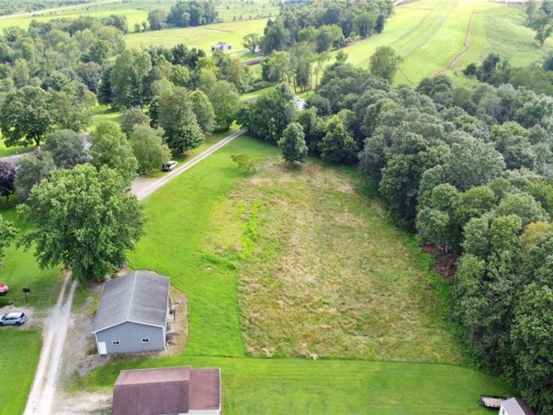 61691 Wintergreen Road, Lore City, OH 43755 Photo 9