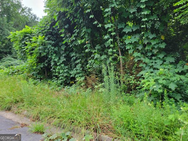 1036 Walnut Creek Lane, Jonesboro, GA 30238