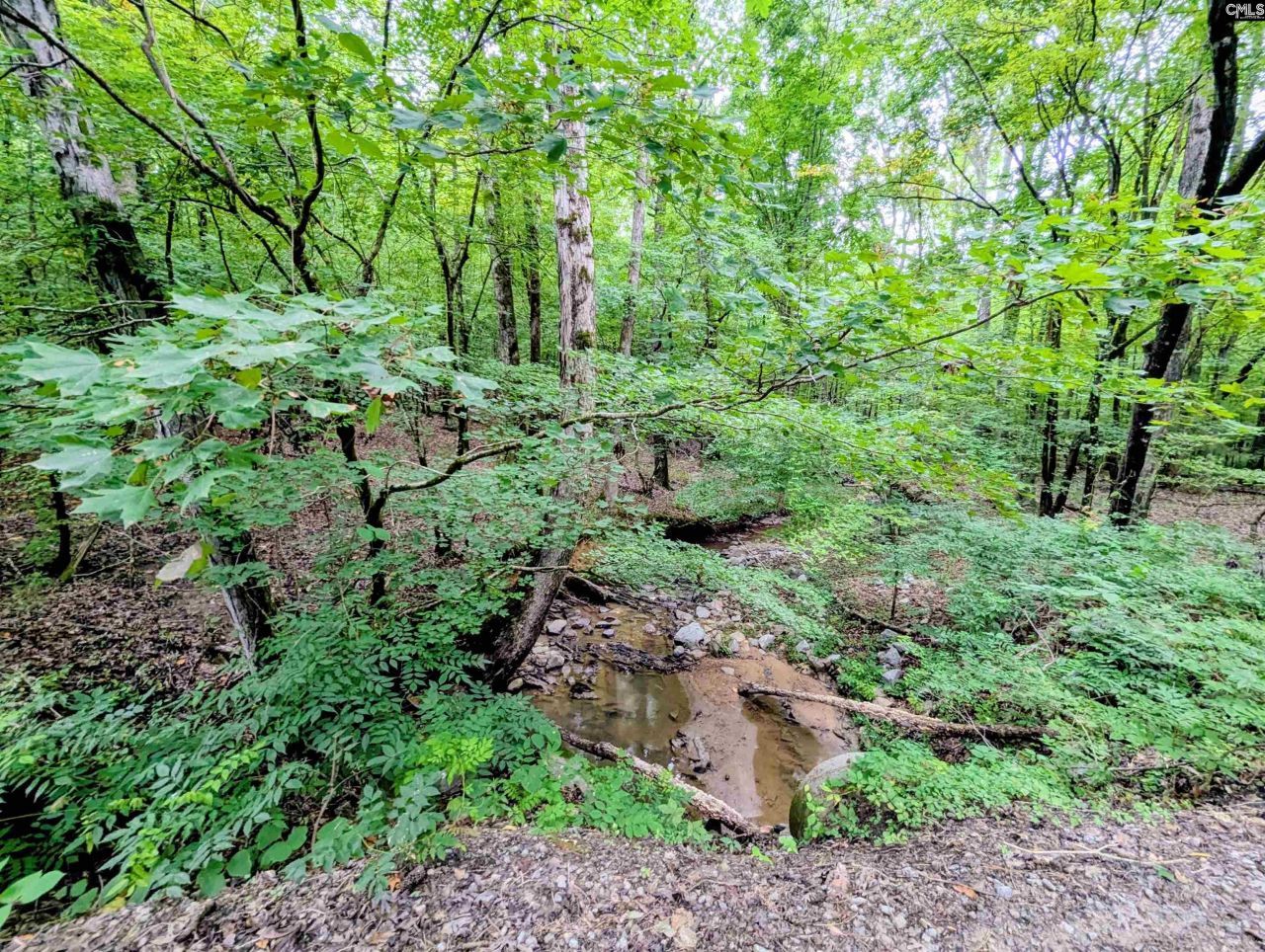 1147 Boatwright Road Photo 4