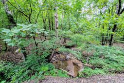 1147 Boatwright Road photo 4