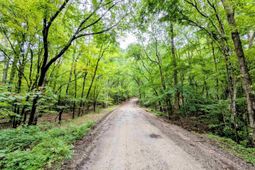 1147 Boatwright Road photo 4