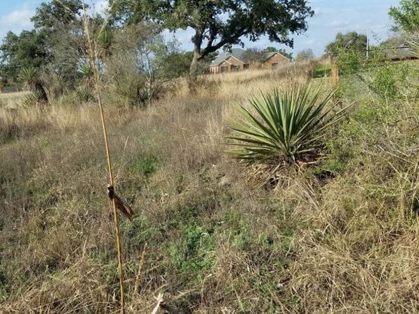 LOT 102 PR 3702 Pr 3702, San Antonio, TX 78253