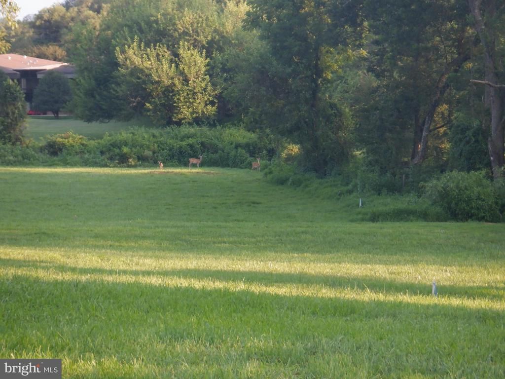 2938 Route 97, Glenwood, MD 21738 Main Photo