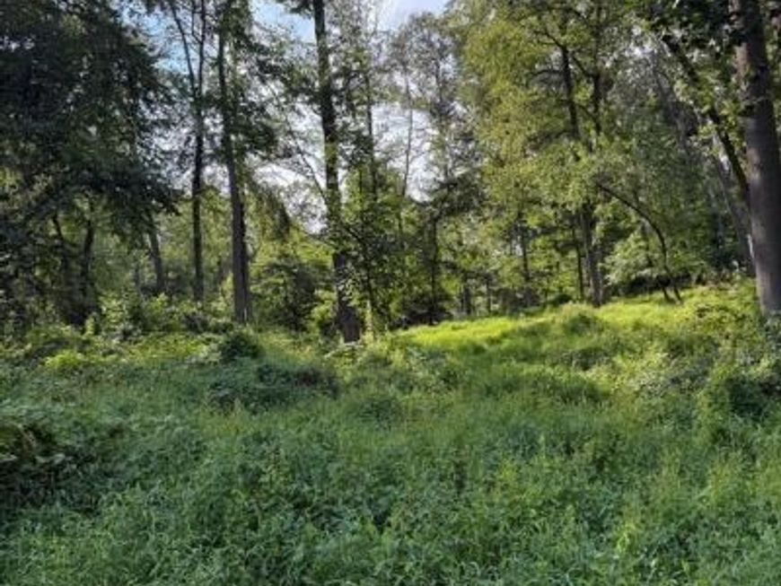 Cushion Peak Road, Wernersville, PA 19565 Main Photo