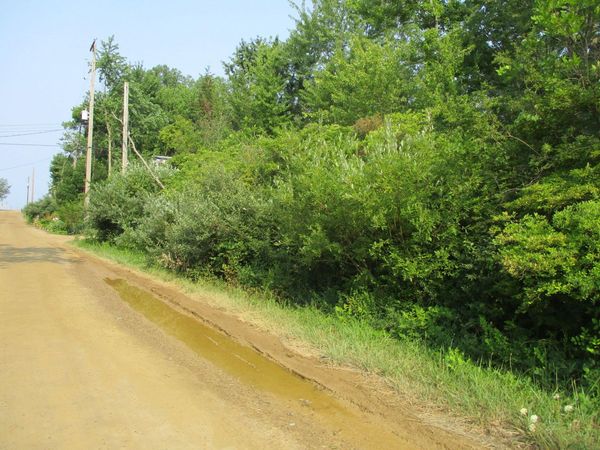 V/L Miami Avenue, Unit Lots 21-24, South Haven, MI 49090