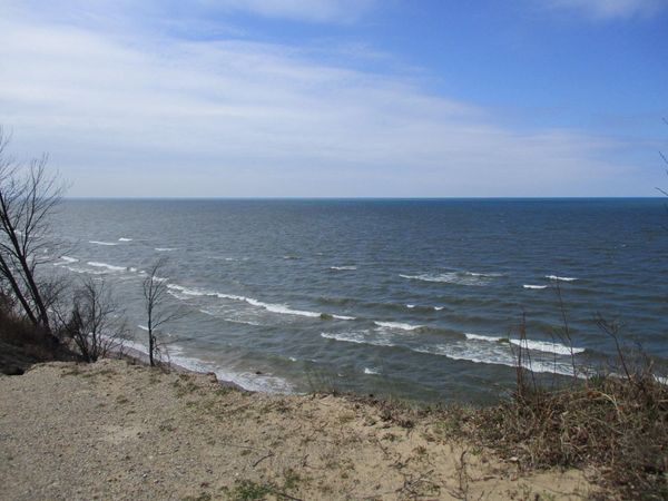 V/L Miami Avenue, Unit Lots 21-24, South Haven, MI 49090