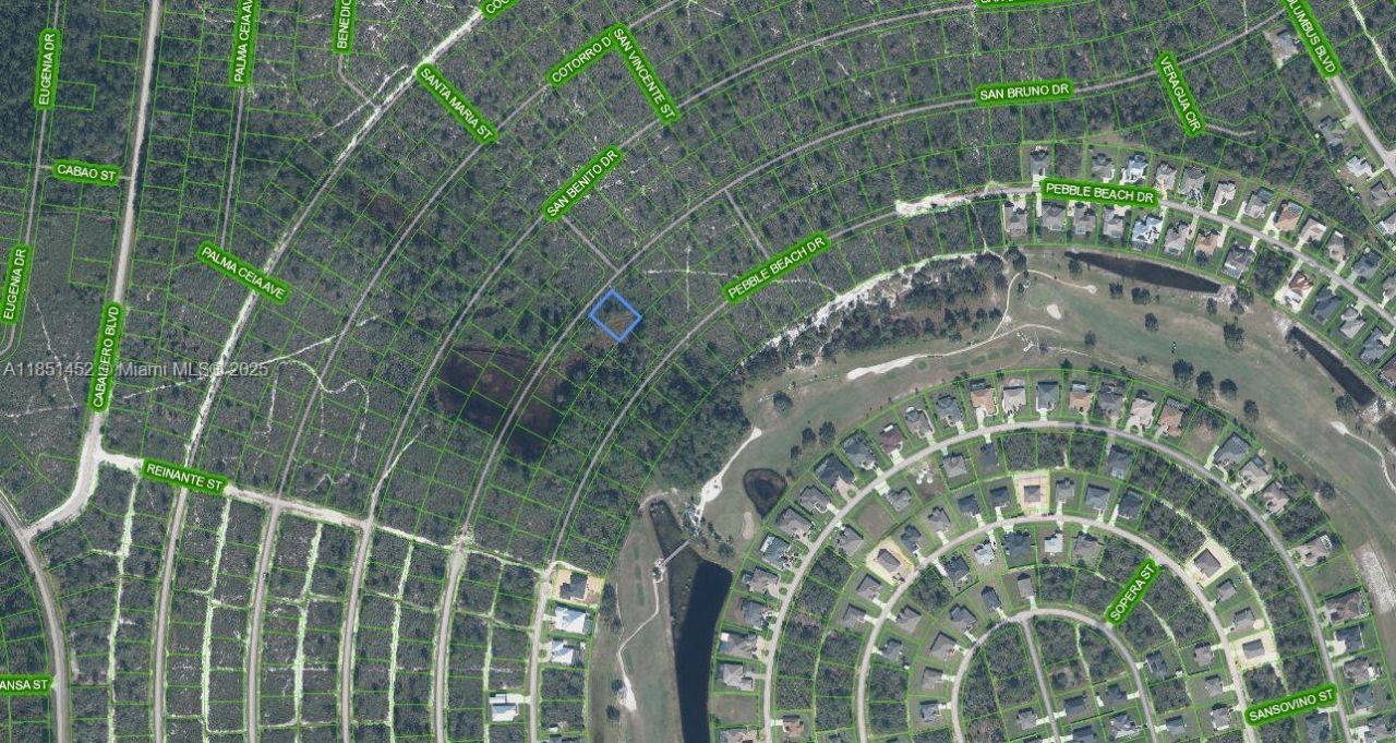 6601 San Bruno Dr, Sebring, FL 33872 Photo