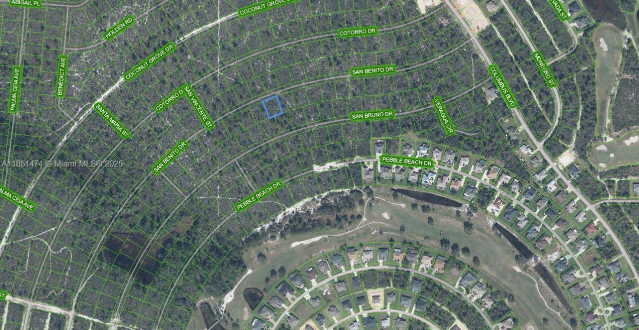 6503 San Benito, Sebring, FL 33872 Photo