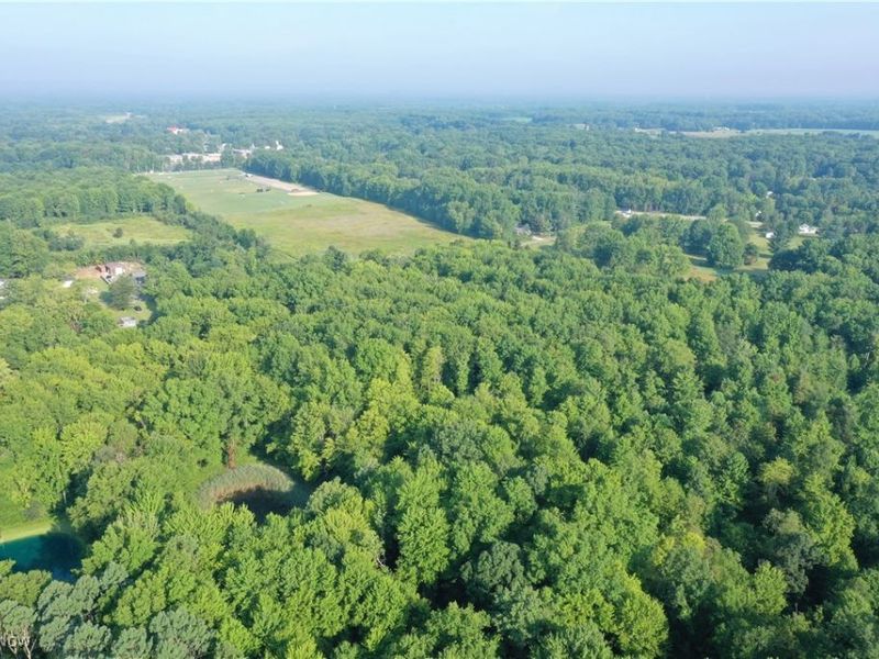 2693 Mahan Denman Road NW, Bristolville, OH 44402 Photo 28