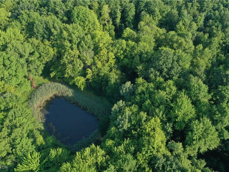 2693 Mahan Denman Road NW, Bristolville, OH 44402 Photo 29