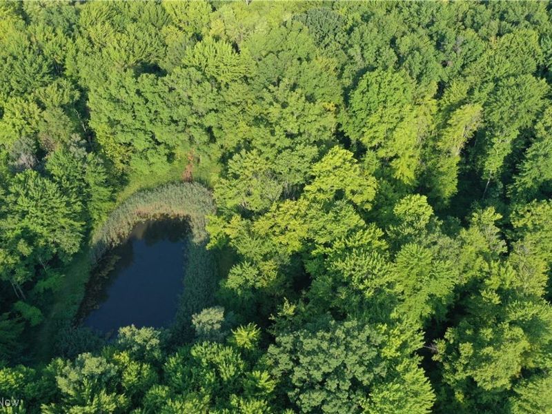 2693 Mahan Denman Road NW, Bristolville, OH 44402 Photo 30