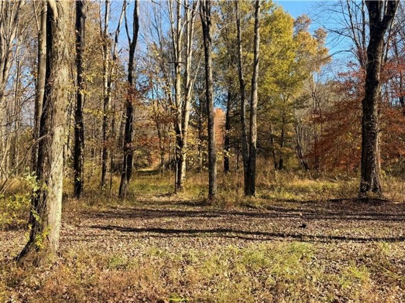 2693 Mahan Denman Road NW, Bristolville, OH 44402 Photo 37