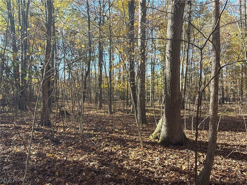 2693 Mahan Denman Road NW, Bristolville, OH 44402 Photo 38