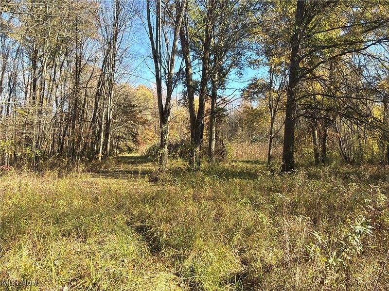 2693 Mahan Denman Road NW, Bristolville, OH 44402 Photo 39