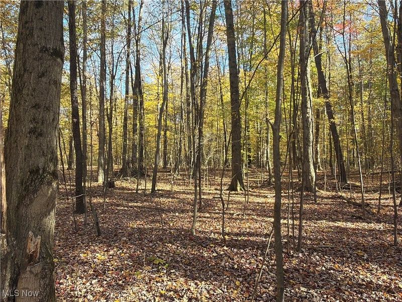 2693 Mahan Denman Road NW, Bristolville, OH 44402 Photo 40