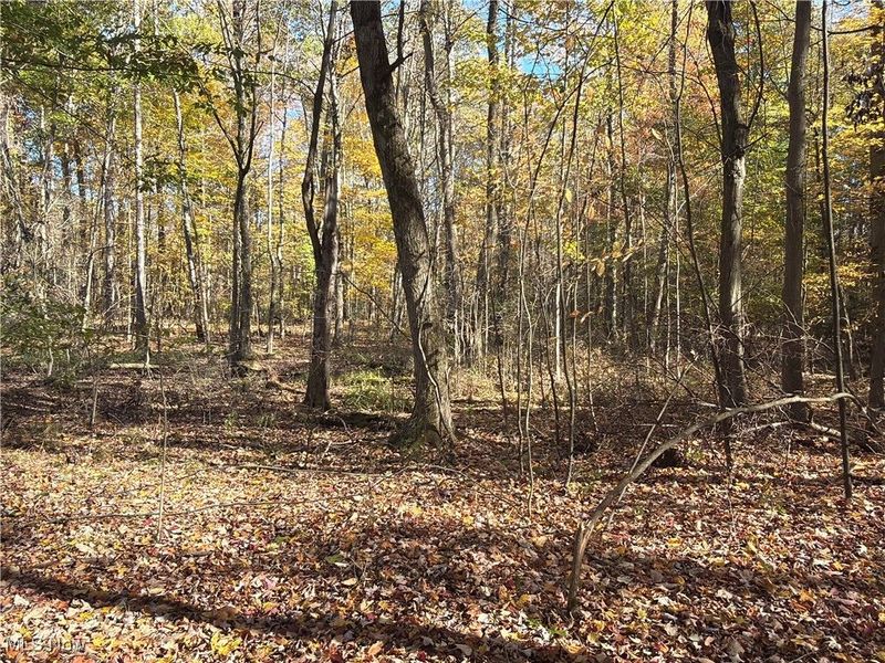 2693 Mahan Denman Road NW, Bristolville, OH 44402 Photo 41