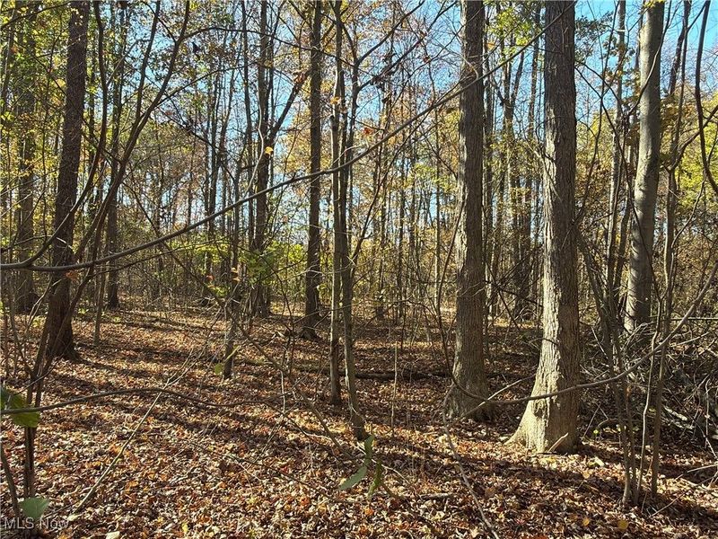 2693 Mahan Denman Road NW, Bristolville, OH 44402 Photo 42