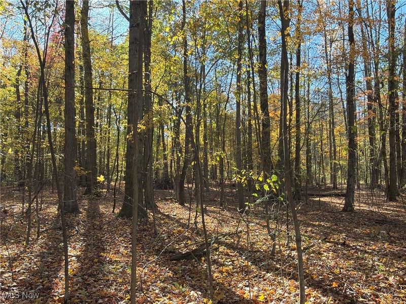 2693 Mahan Denman Road NW, Bristolville, OH 44402 Photo 43