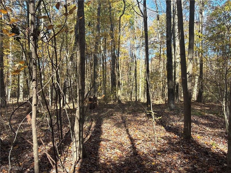 2693 Mahan Denman Road NW, Bristolville, OH 44402 Photo 45