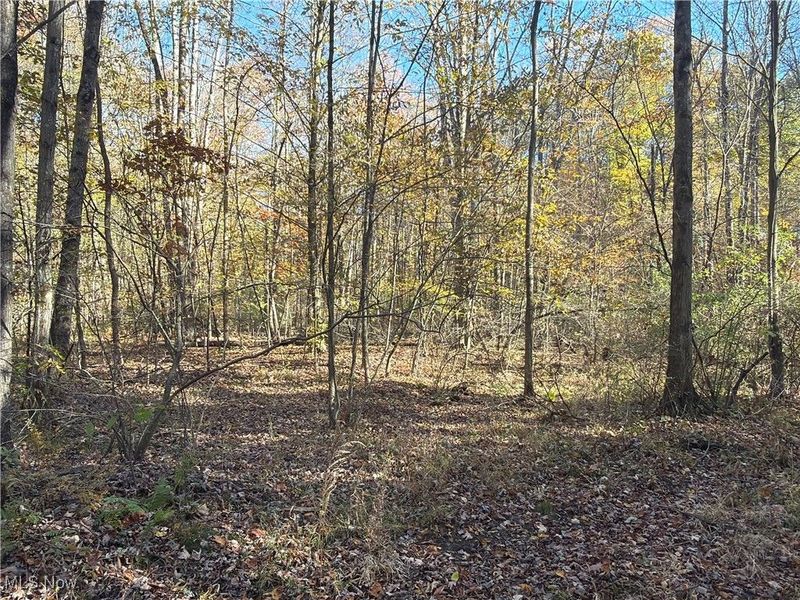 2693 Mahan Denman Road NW, Bristolville, OH 44402 Photo 46