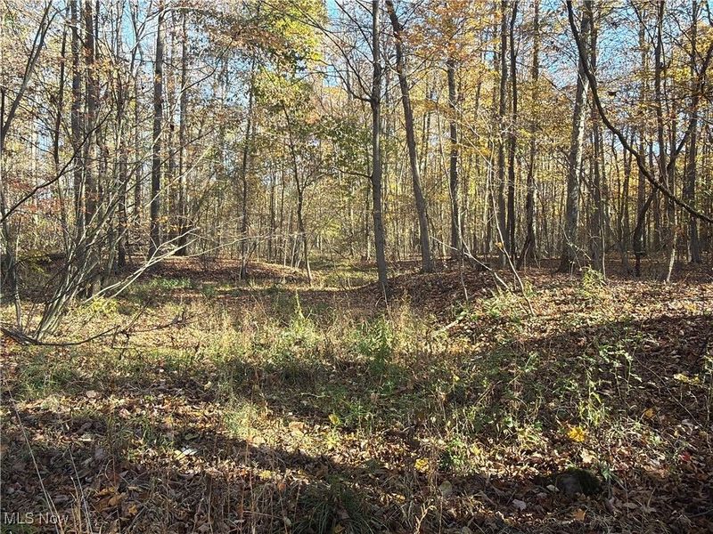 2693 Mahan Denman Road NW, Bristolville, OH 44402 Photo 47