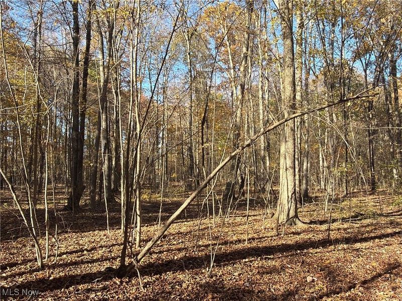 2693 Mahan Denman Road NW, Bristolville, OH 44402 Photo 48