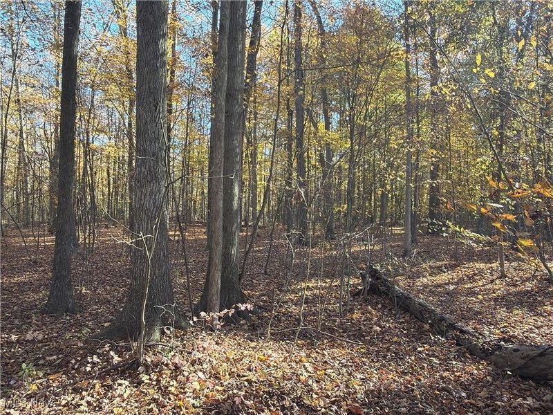 2693 Mahan Denman Road NW, Bristolville, OH 44402 Photo 49