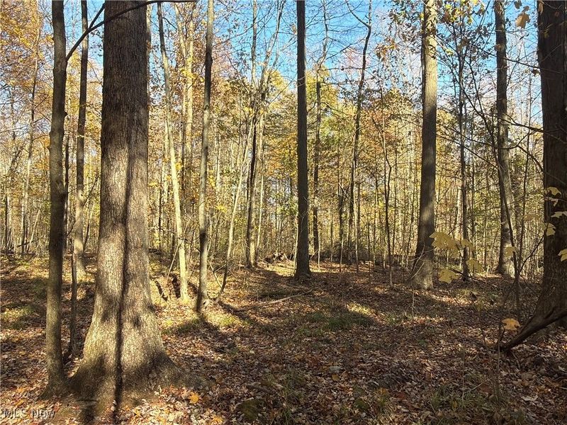 2693 Mahan Denman Road NW, Bristolville, OH 44402 Photo 50