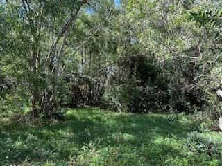 000 129th Avenue N, Royal Palm Beach, FL 33411 Photo