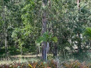 000 129th Avenue N, Royal Palm Beach, FL 33411 Photo