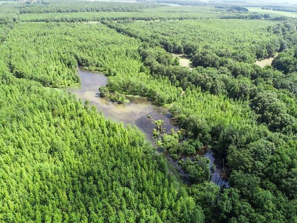 tbd Hwy 6, Marks, MS 38646