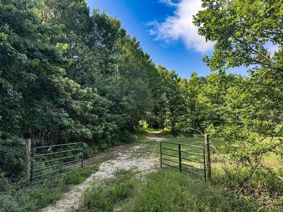 Property Image 59