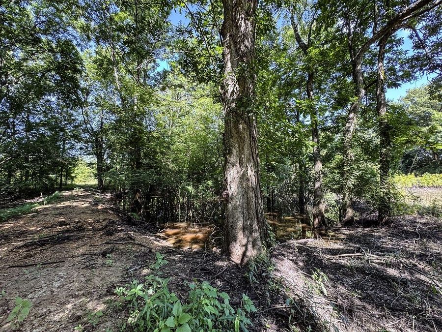 Property Image 64