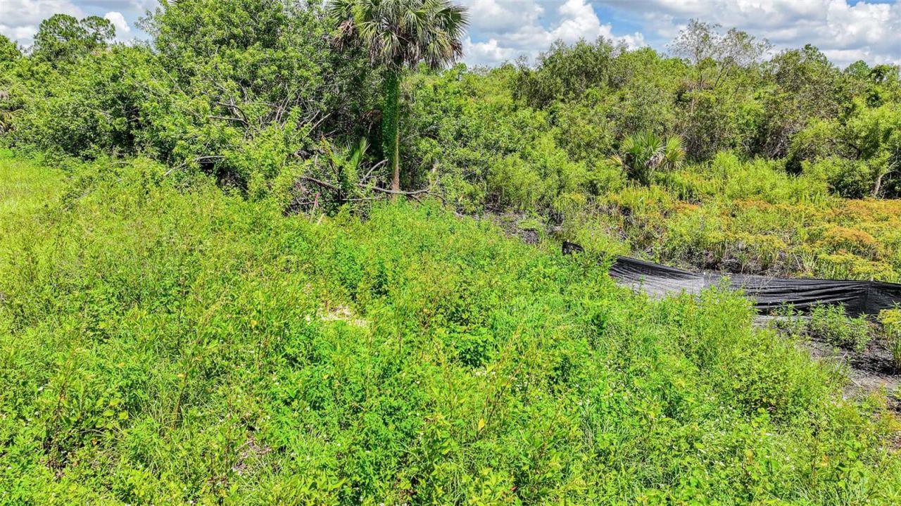 1245 Cavalier Circle, Lehigh Acres, FL 33974 Photo