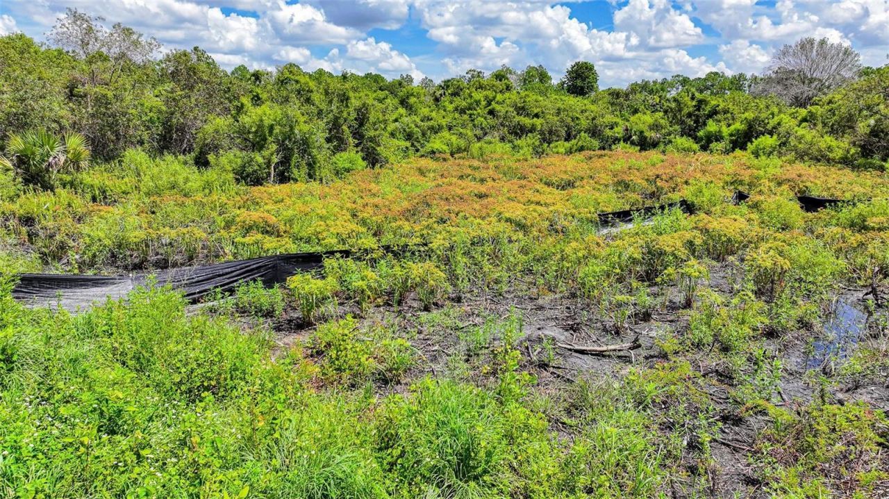 1245 Cavalier Circle, Lehigh Acres, FL 33974 Photo