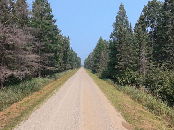 TBD 80 Acres Sunflower Road NE, Kelliher, MN 56650