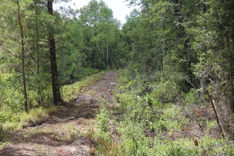 00 Limestone Road Photo 10