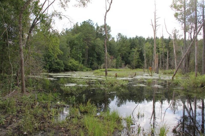 00 Limestone Road Photo 4