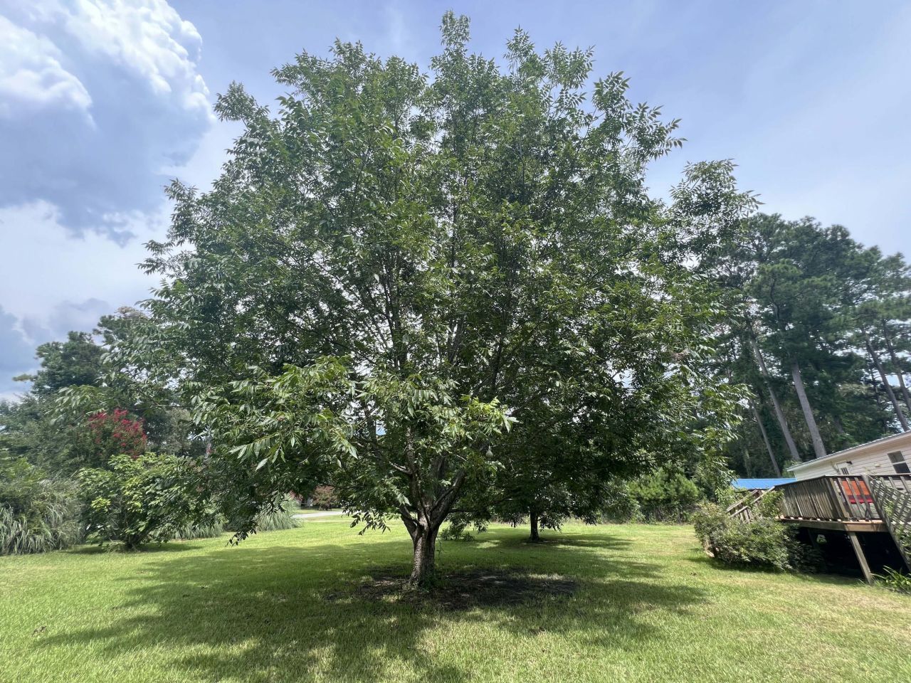 1156 W A. Gamble Road Photo 11