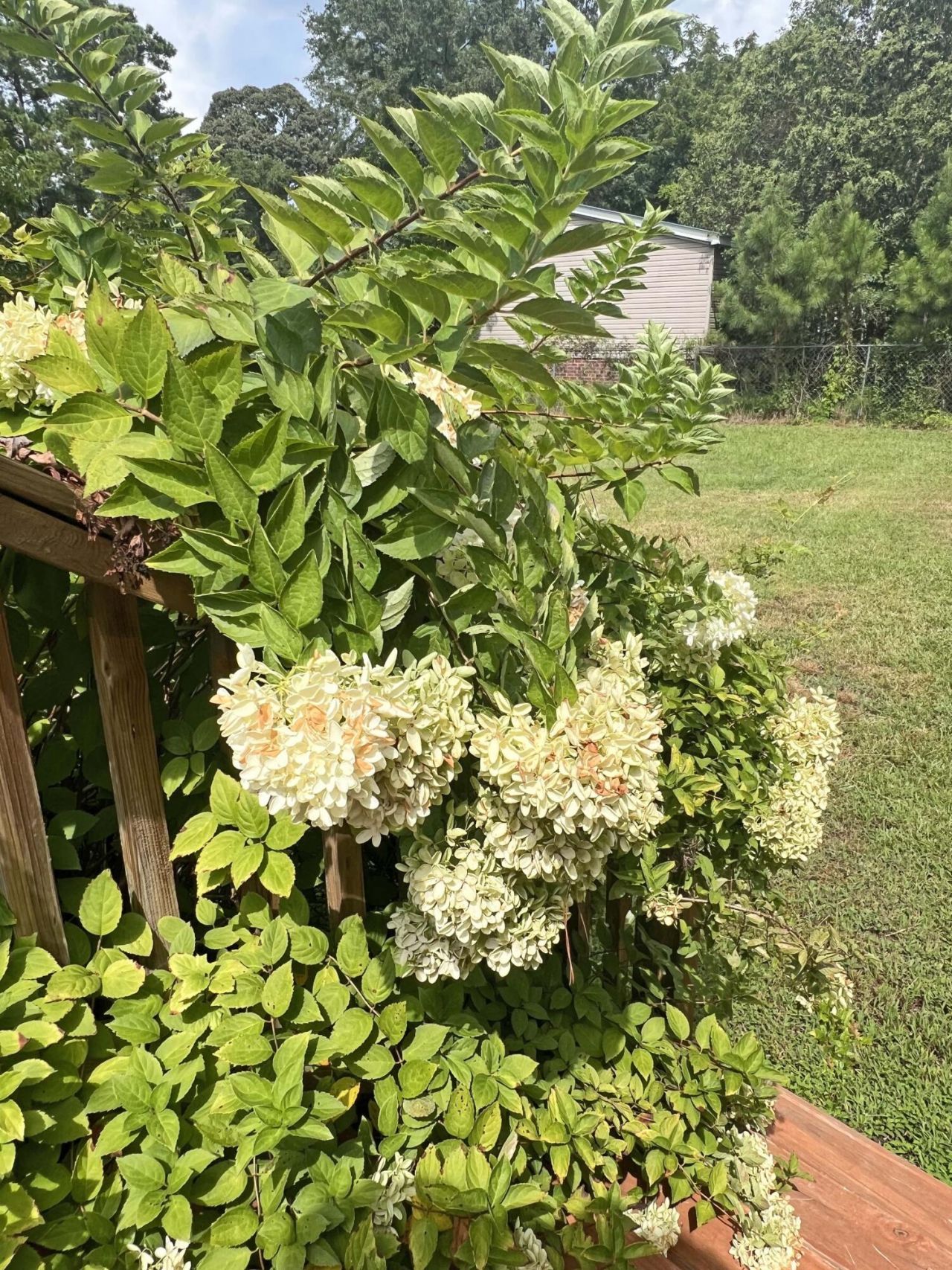 1156 W A. Gamble Road Photo 16