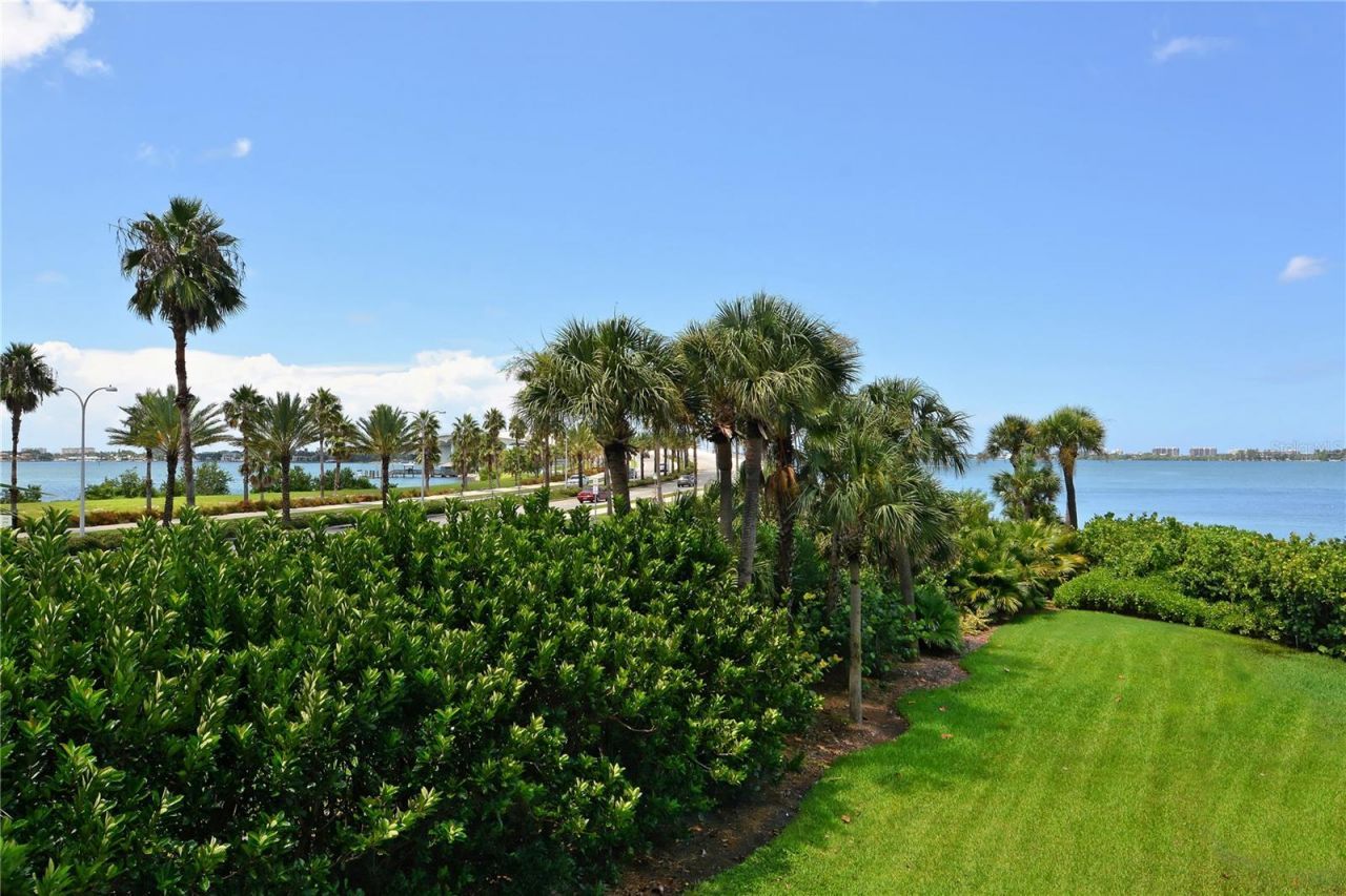 11 Sunset Drive, Unit 505, Sarasota, FL 34236 Photo