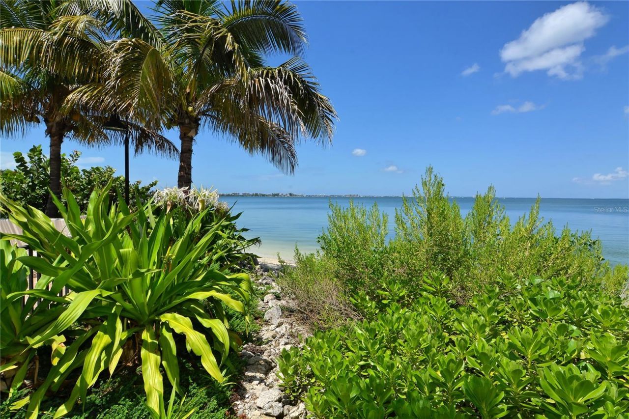 11 Sunset Drive, Unit 505, Sarasota, FL 34236 Photo