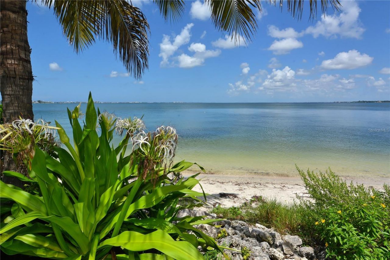 11 Sunset Drive, Unit 505, Sarasota, FL 34236 Photo