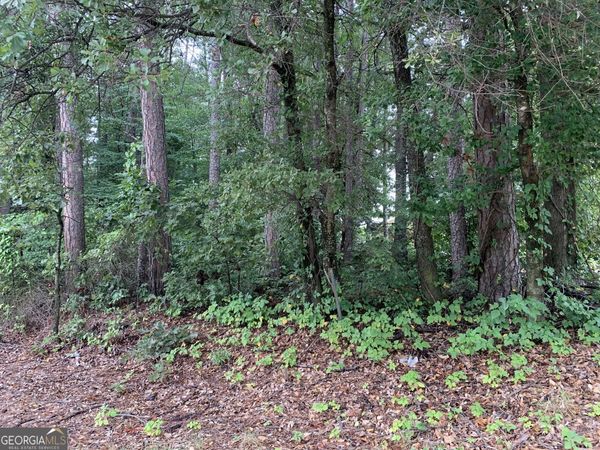 0 HWY 17 ALT, Toccoa, GA 30577