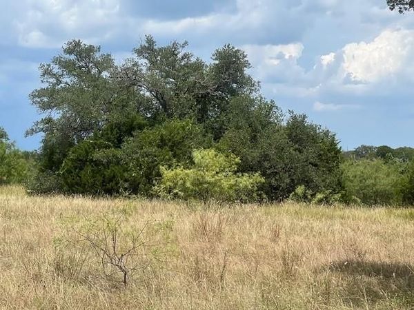 28005 White Bluff Drive, Whitney, TX 76692